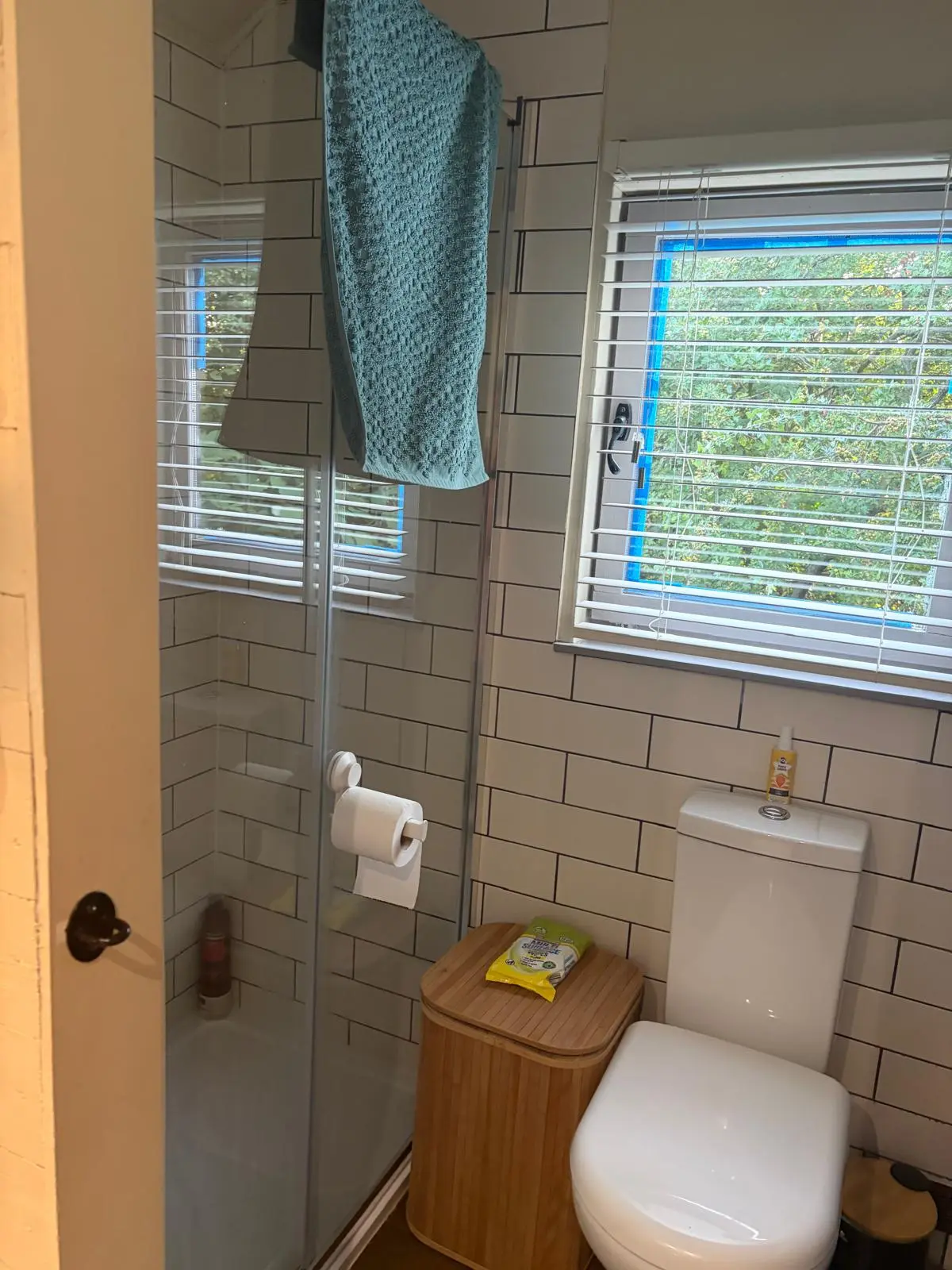 The large hut bathroom, with its own toilet and shower