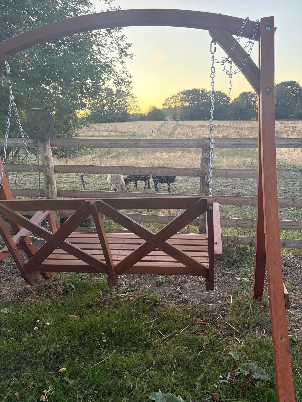 Wooden swing looking over the paddock and sheep at sunset